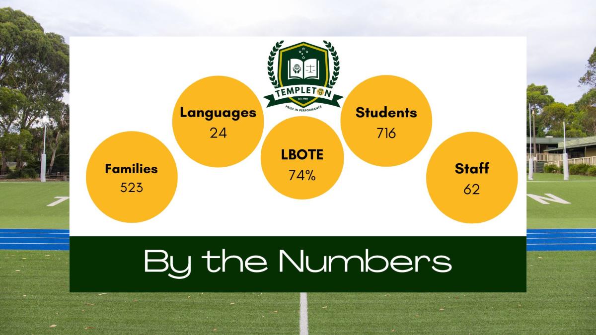 Website (1)